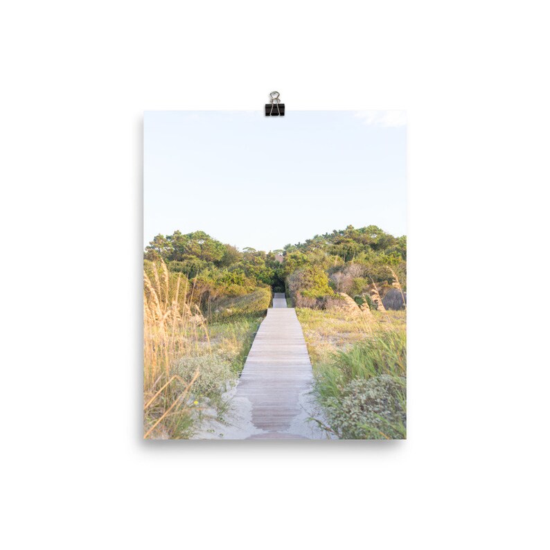 May include: A wooden walkway leads through a grassy area with trees on either side. The path is lined with tall grass and the sky is a light blue.