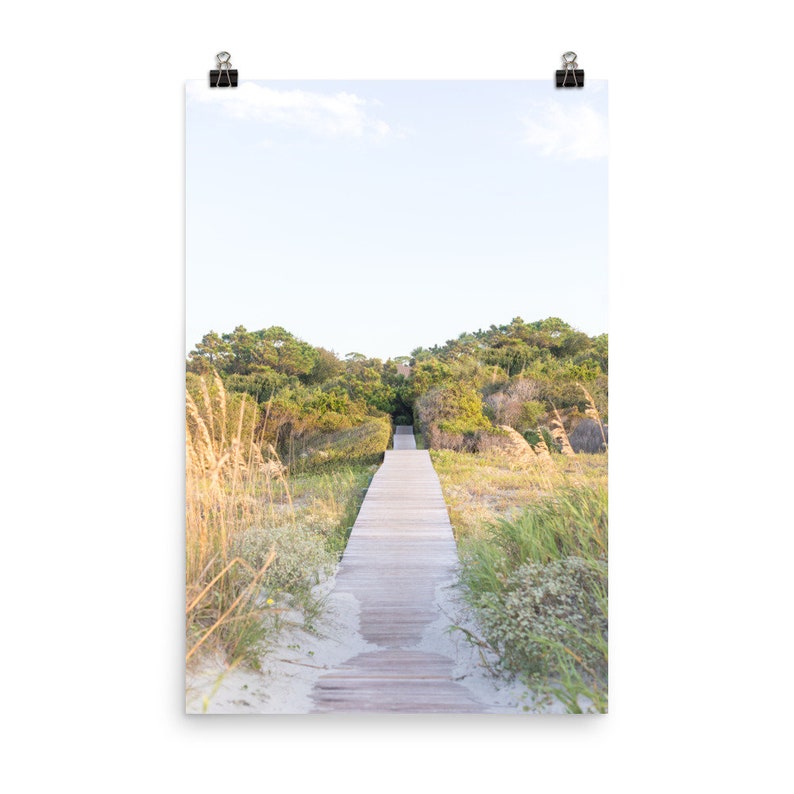 May include: A wooden walkway leads through tall grass and trees to a beach. The path is made of light brown wood planks and is surrounded by green grass and trees.