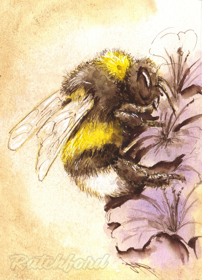 Bumble Bee image 1
