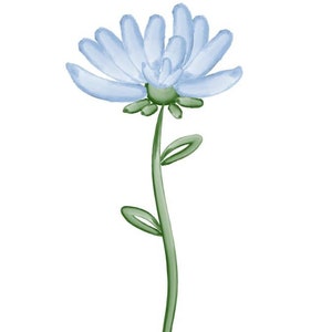 Charming Blue Daisy Cookie Cutter | Elegant Floral Design for Spring, Garden Parties, and Nature-Inspired Baking
