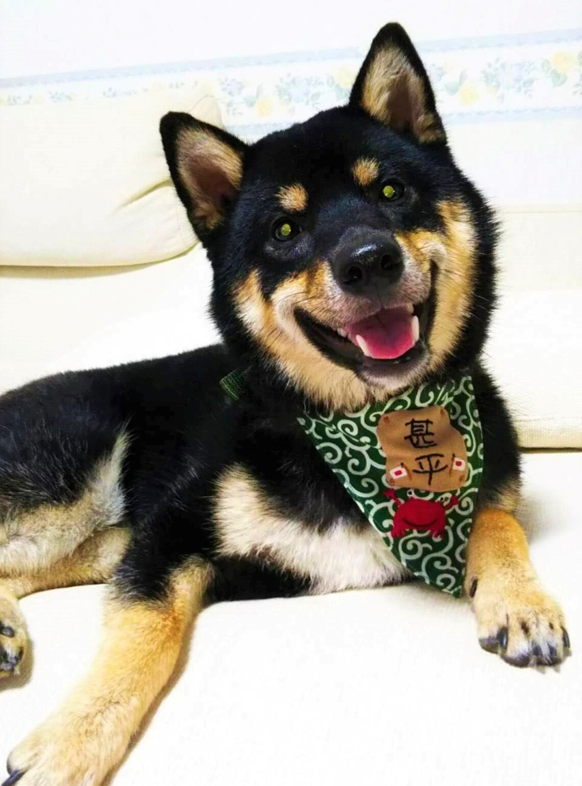 Japanese Dog Collar Japanese Cat Collar Karakusa Dog Collar Etsy UK