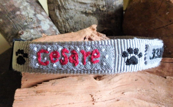 embroidered cat collars