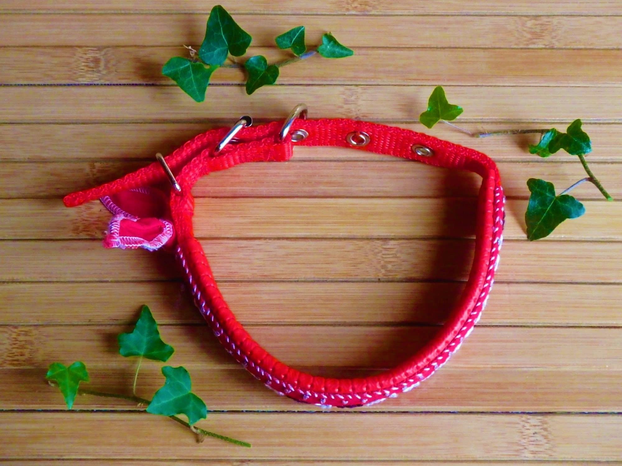 Dog Name Collar Dog Name Tag Collar Dog ID Collar Etsy UK