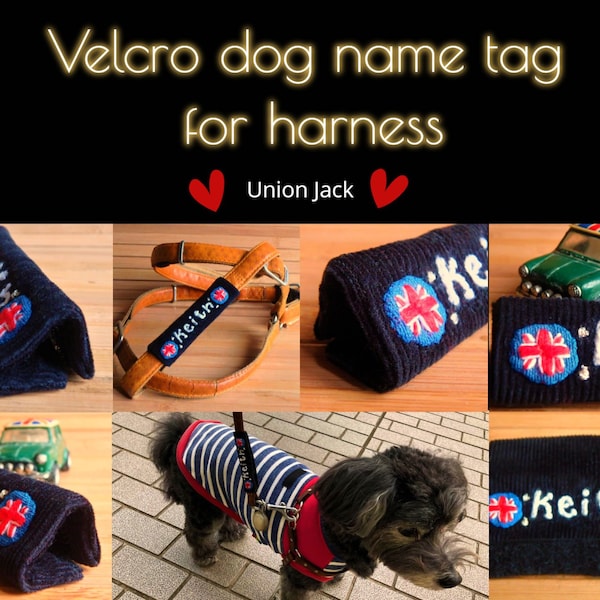 Velcro Name Dog Collar Etsy