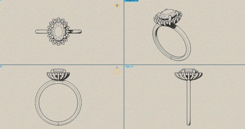 Oval cut custom made Engagement ring