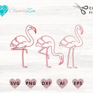 Flamingo svg, png, dxf, eps, ai, Clipart, Vector Cuttable | Cricut, Silhouette, Cameo