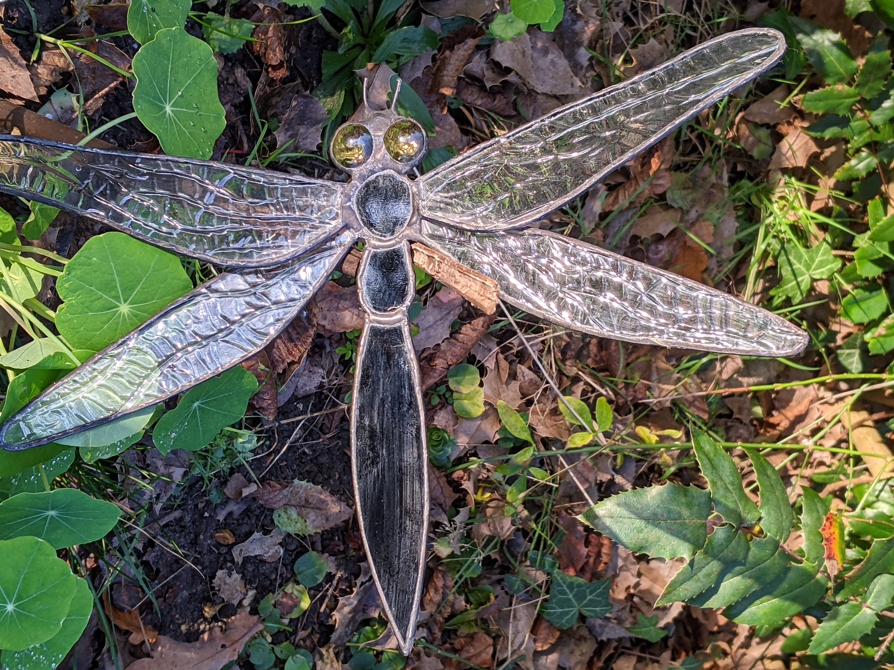 what is dragonfly delivery - Ilustrasi 3