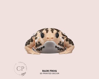 Rain Frog Articulated 3D Printed Figure Home Desk Decor