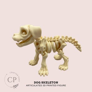 May include: A white articulated 3D printed dog skeleton. The skeleton is posed in a standing position with its head turned to the side. The text "DOG SKELETON ARTICULATED 3D PRINTED FIGURE" is printed below the skeleton.