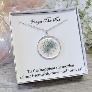 Forget Me Not Necklace, Friendship Necklace, Pressed Flower Charm, Sterling Silver Chain, Silver Necklace Jewelry