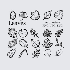 Arte para download de 20 desenhos de folhas - Fundo transparente e branco - JPG - PNG - SVG