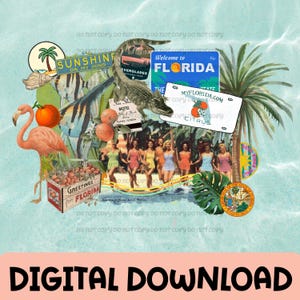 Florida PNG | Digitaler Download. Sublimation, Collage png, Retro png, Vintage png, Orangen png, Zustand png, trendig png, Palmen png, Vaca