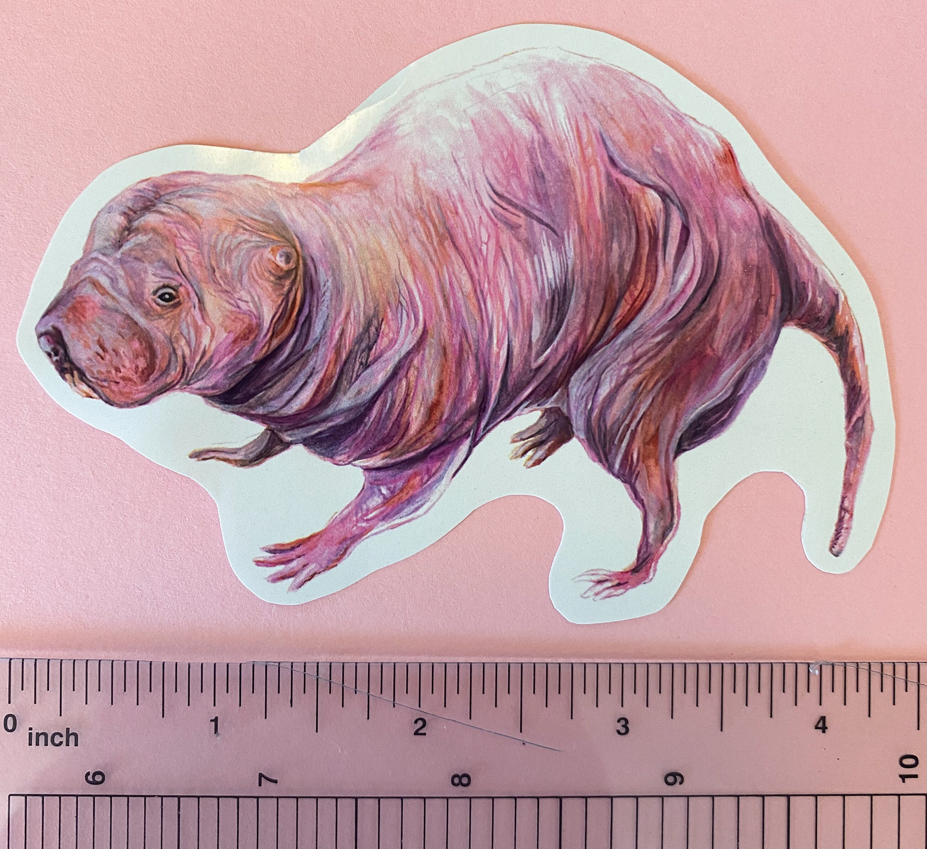 Naked Mole Rat White Adhesive Sticker | Etsy