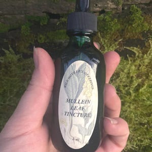 Mullein Leaf Tincture 2oz