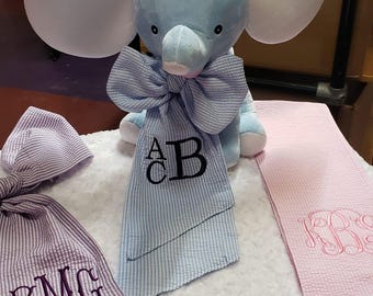 Monogrammed Seersucker Baby Sash: Newborn Photo Prop