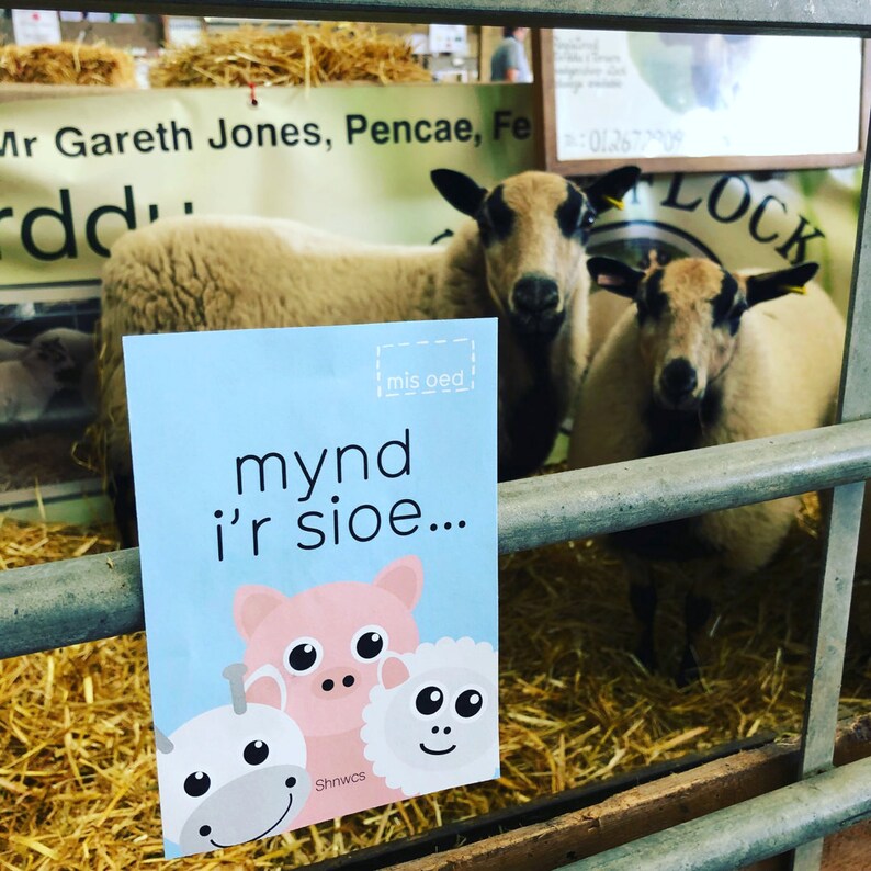 Cardiau Camau Cyntaf Welsh baby milestone cards Etsy