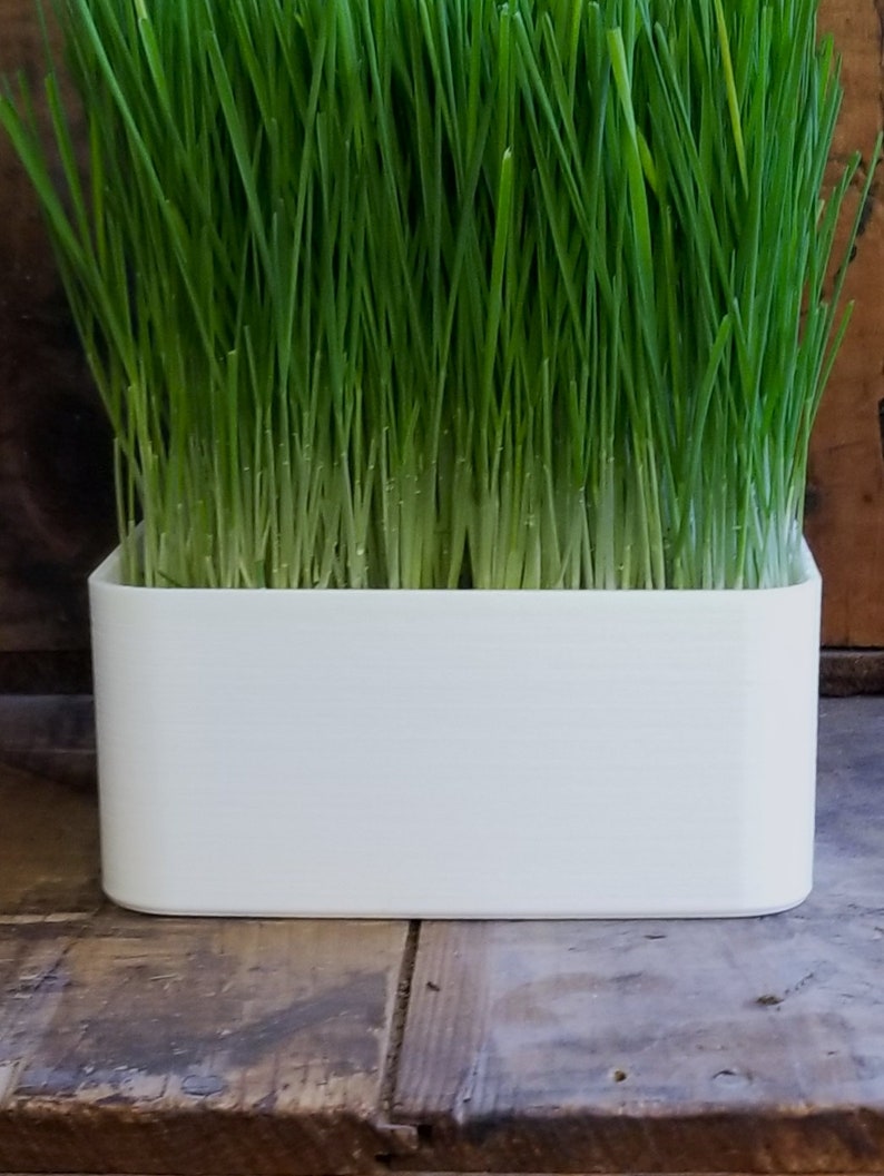 May include: A white rectangular planter with a thick rim filled with a lush green patch of grass.