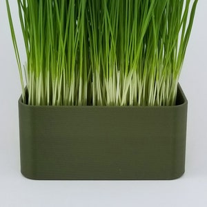 May include: A green rectangular planter with a row of fresh green grass growing inside.