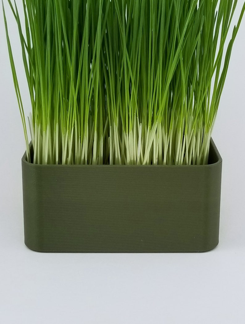 May include: A green rectangular planter with a row of fresh green grass growing inside.