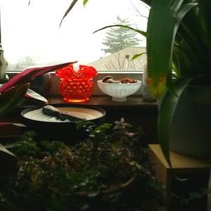 Zen garden by the window on a foggy day