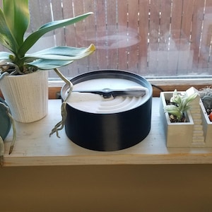 Zen garden by a sunny window
