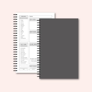 Gray Cover Mental Health Journal - Anxiety Workbook Self Care Gift - Overthinking Therapy Notebook - ADHD Journal - Daily Brain Dump Diary
