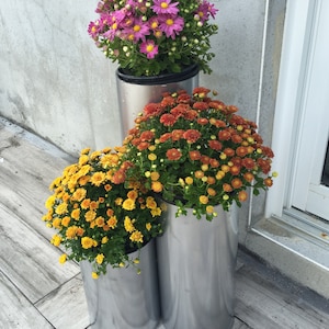 May include: Three silver metal planters with different coloured mums. The top planter has pink mums, the middle planter has orange mums, and the bottom planter has yellow mums.