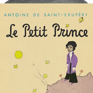 Little Prince - Fine Art Print