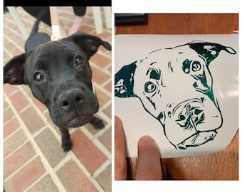 vitamin c drops for guinea pigs walmart