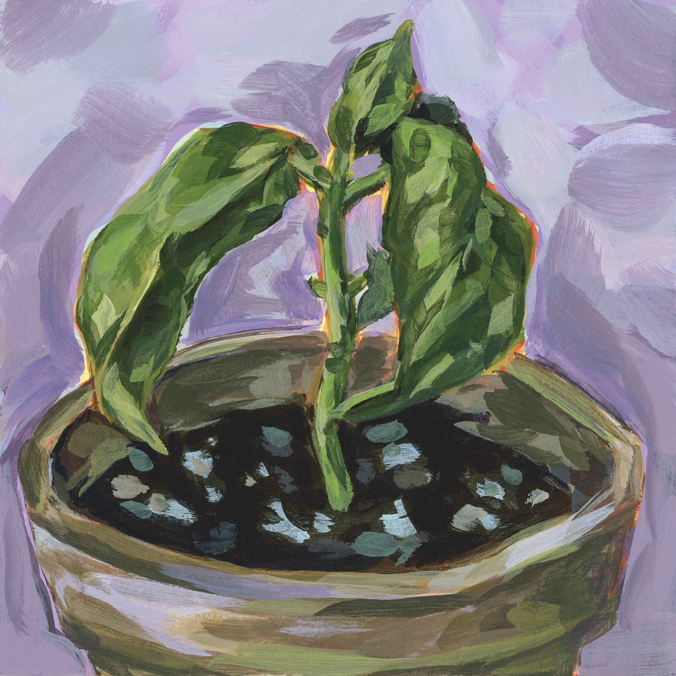 Basil Art Print Basil Plant Houseplant Art Print Plant Art Etsy