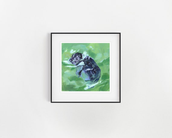 Seal Art Print Cute Seal Art Animal Art Print Wall Decor - Etsy Seal Art Print Cute Seal Art Animal Art Print Wall Decor - Etsy