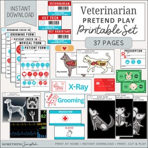 Veterinarian Pretend Play Set: Vet Clinic Role Play Printables (Instant Download)