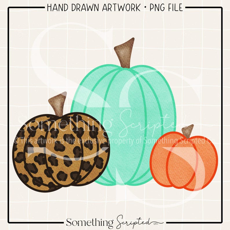Op de afbeelding: Handgetekende illustratie van drie pompoenen. E&eacute;n pompoen heeft een luipaardprint, een andere is turquoise en de derde is oranje. De tekst "HAND DRAWN ARTWORK &bull; PNG FILE" en "Something Scripted" zijn ook aanwezig.