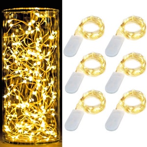 May include: A set of 6 battery-operated copper wire fairy lights with warm white LED bulbs. Each strand is 10 feet long and comes with a battery pack.