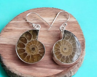 Beautiful Gemstone Earring, Handmade Earring, 925 Sterling Silver Earring, Natural Ammonite Earring, Ammonite Jewelry, Silver Gift Jewelry