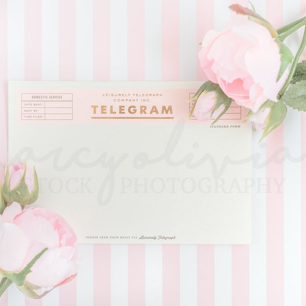 Pink and white Mock up Telegram