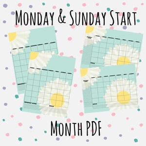 May include: Four printable monthly calendar pages with a daisy design. Each page has a light blue background with a white daisy and yellow center. The calendar pages are labeled with the days of the week and have space for writing in important notes and goals.