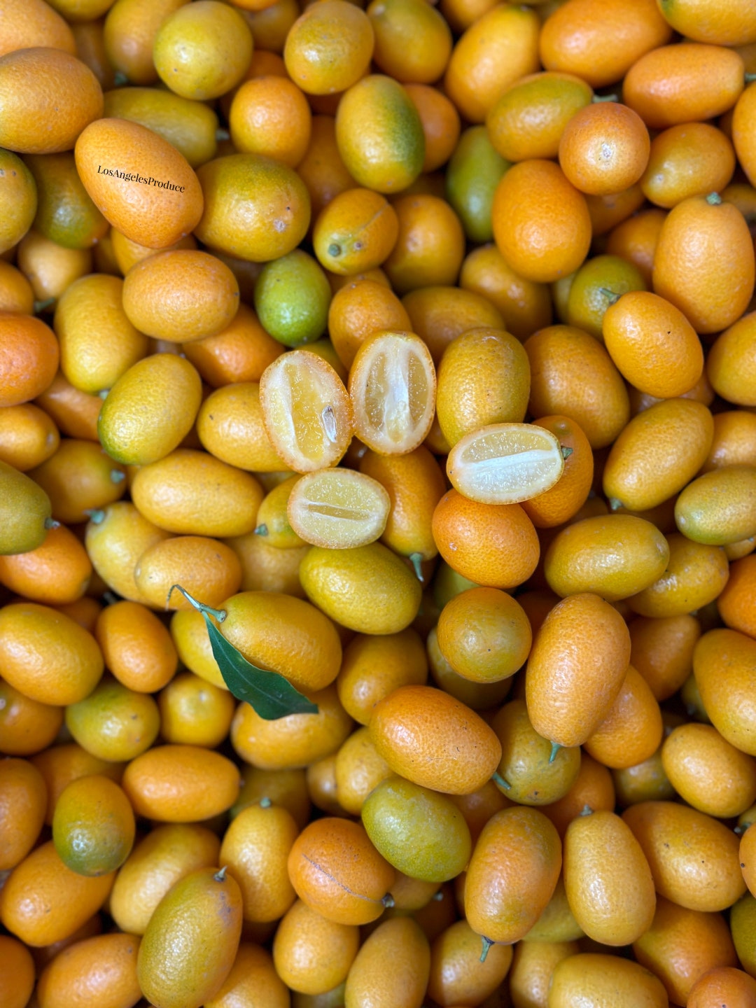 11.5lbs Fresh Allnatural Kumquats Sample Size actual Fruit Locally Grown FREE SHIPPING Etsy