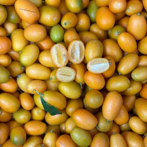 3-3.5LBS Fresh All-Natural Kumquats(Actual Fruit - Locally Grown) - FREE  SHIPPING!