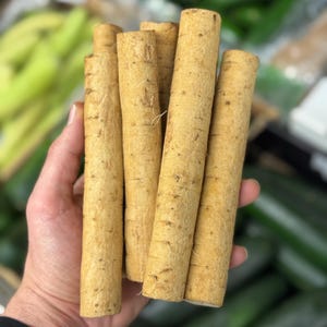 2-2.5Lbs FRESH BURDOCK ROOT(GoBO RooT, Bardana) Free Shipping