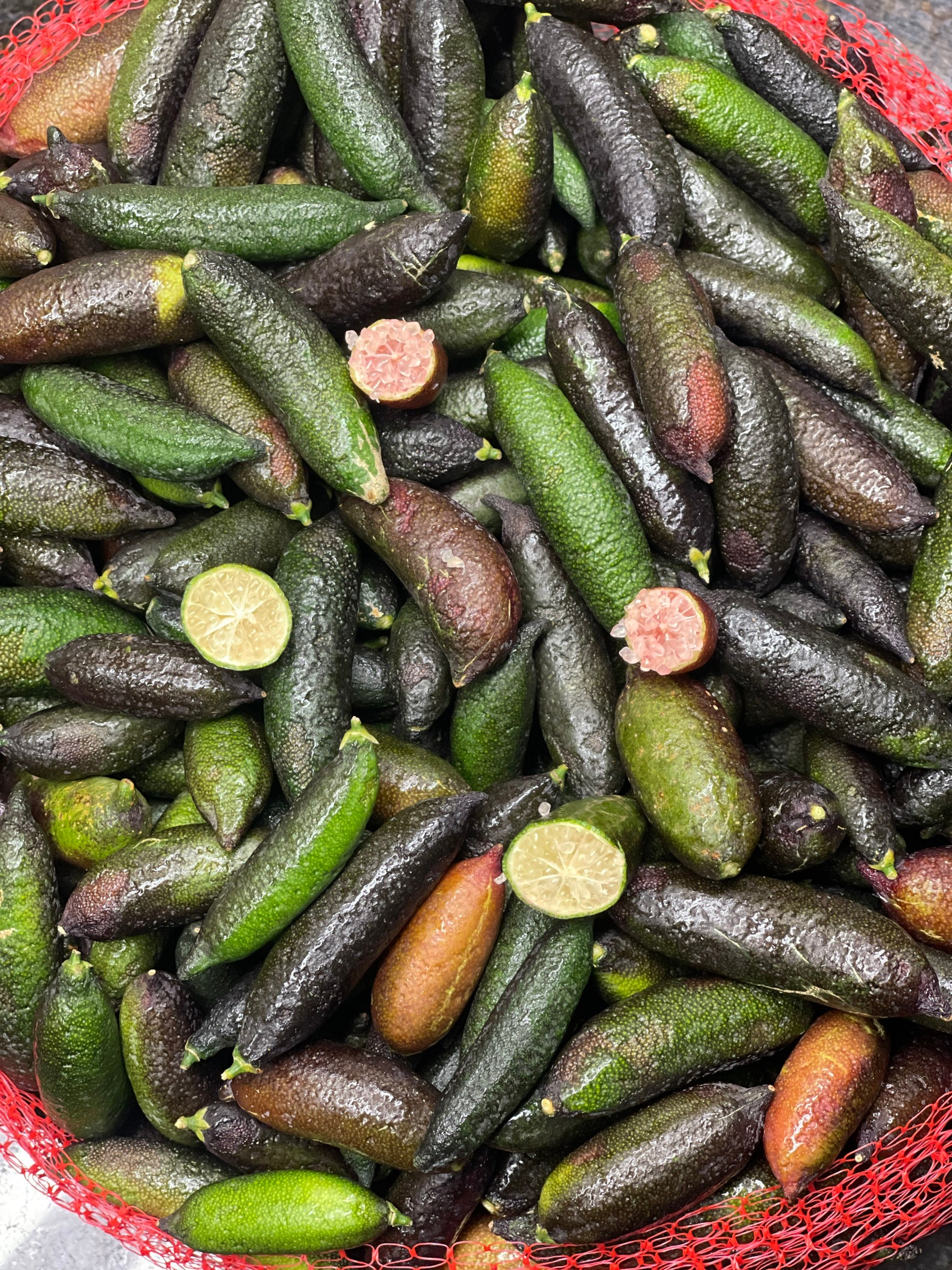 1lb4060pcs FRESH Caviar Limes finger Limes RARE FRUIT Etsy