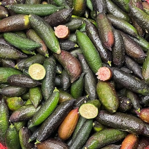 1Lb(40-60pcs) FRESH Caviar Limes (Finger Limes) RARE FRUIT- California Grown