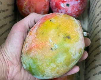 9-10Lbs Tree Ripened / All Natural Mangos *Actual Fruit* OVERNIGHT SHIPPING!!