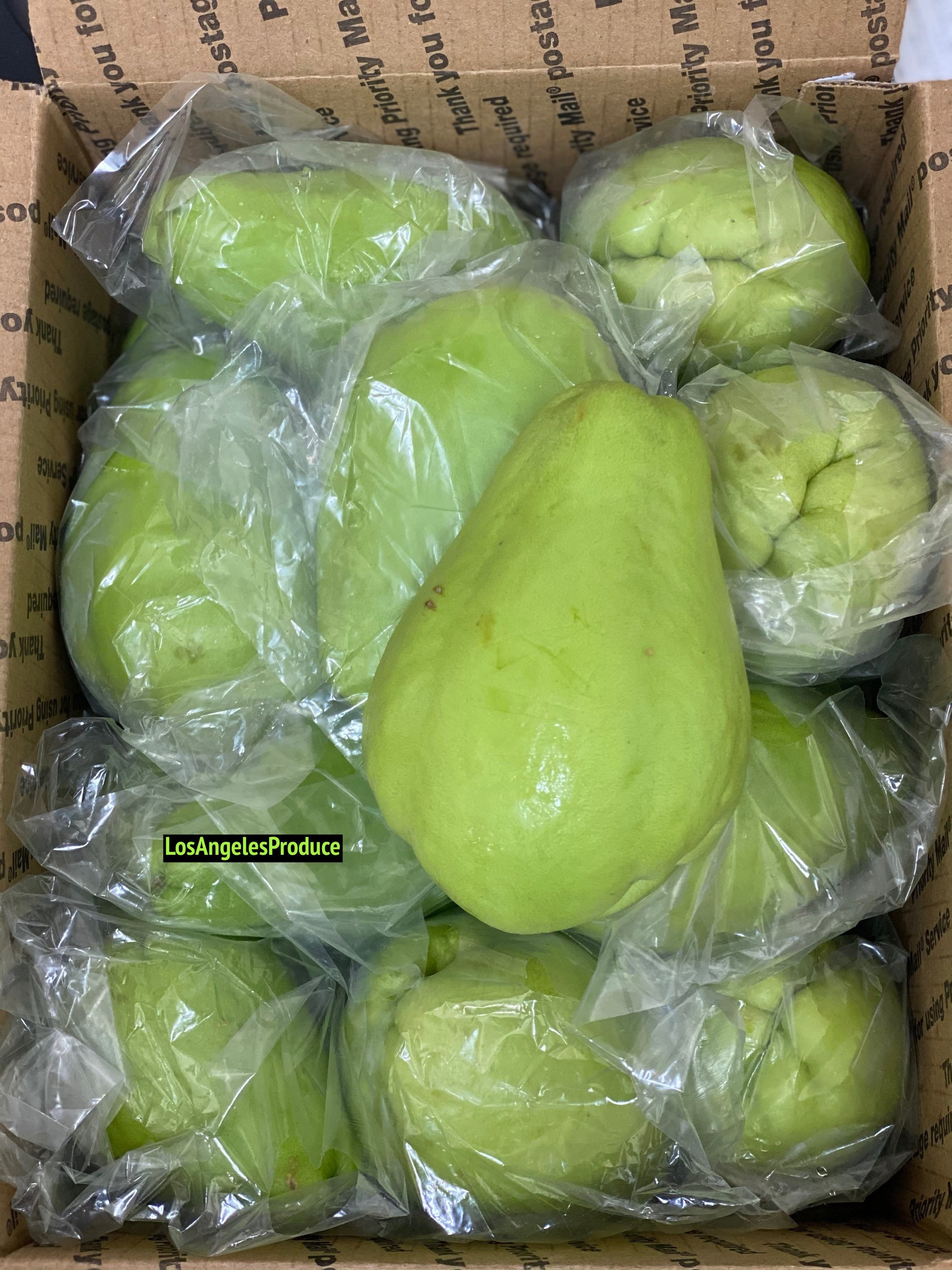 8-9lbs Fresh Chayote Squash (alkaline ) Free Shipping! - Etsy