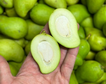 8.5-9Lbs  Baby Sour Mango - Actual Fruit- FREE SHIPPING!!