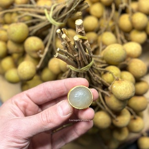 May include: A hand holding a halved longan fruit with a golden-yellow rind, revealing translucent flesh. Bunches of longans with brown stems and green ties are in the background. The text "LosAngelesProduce" is visible.