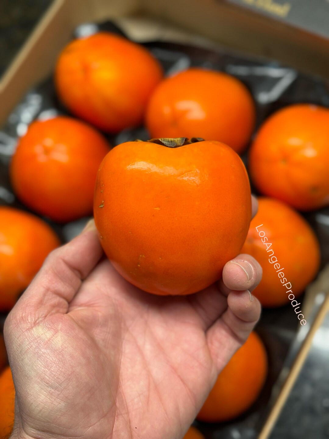 5.5-6lbs Fresh CA Grown Hachiya Persimmon THE ACTUAL Fruit All Natural ...