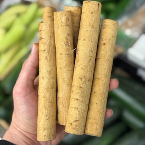 May include: A bunch of six light brown burdock root sticks, held in a hand. The roots are about 10 inches long and 1 inch in diameter.