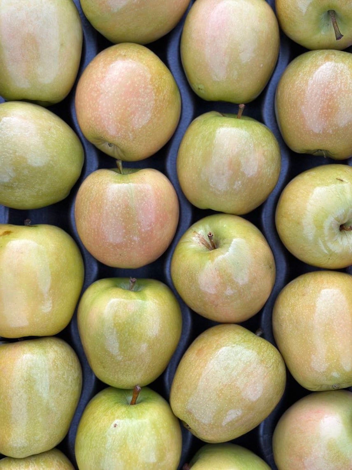 56lbs of Hidden Rose Apples actual Fruit Pink Apples / Etsy