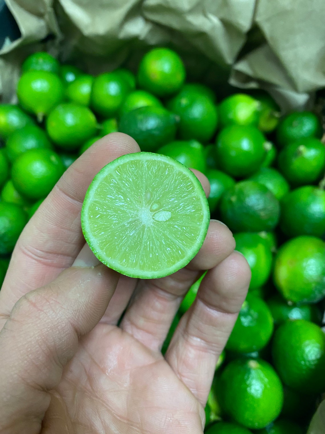 5Lbs Fresh Key Lime THE ACTUAL FRUIT Etsy